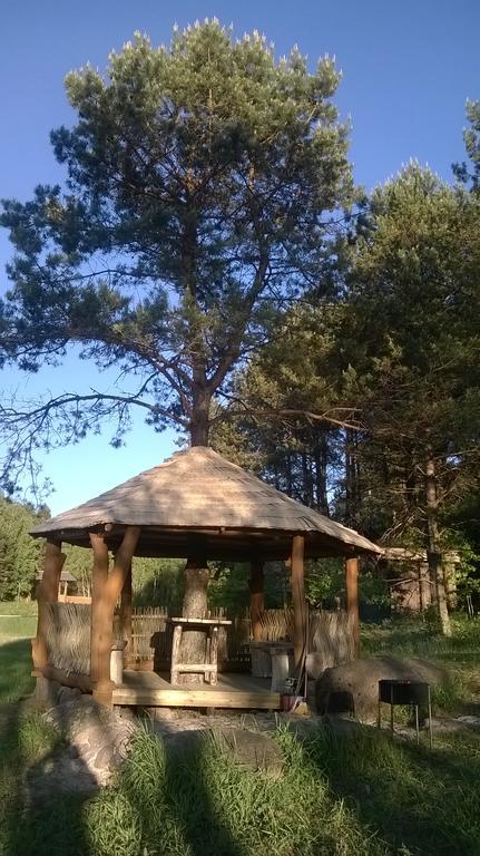 Vabalyne ξενώνας Vilkiskes Εξωτερικό φωτογραφία